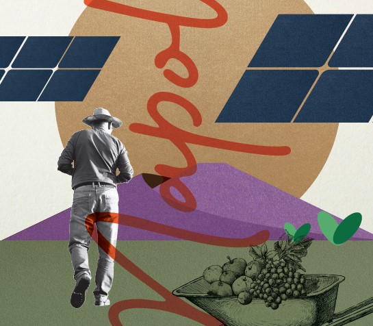 Agrivoltaico sostenibile: verso il valore condiviso