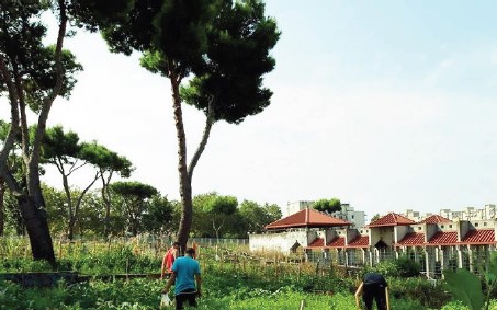 Ponticelli: una politica sperimentale per un progetto di agricoltura in città